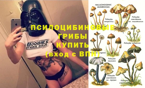 СК Покров