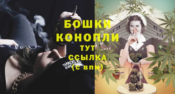 ГАЛЛЮЦИНОГЕННЫЕ ГРИБЫ Белокуриха