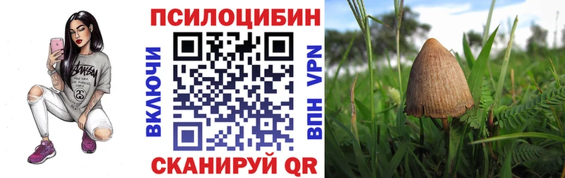 Галлюциногенные грибы прущие грибы Красный Сулин